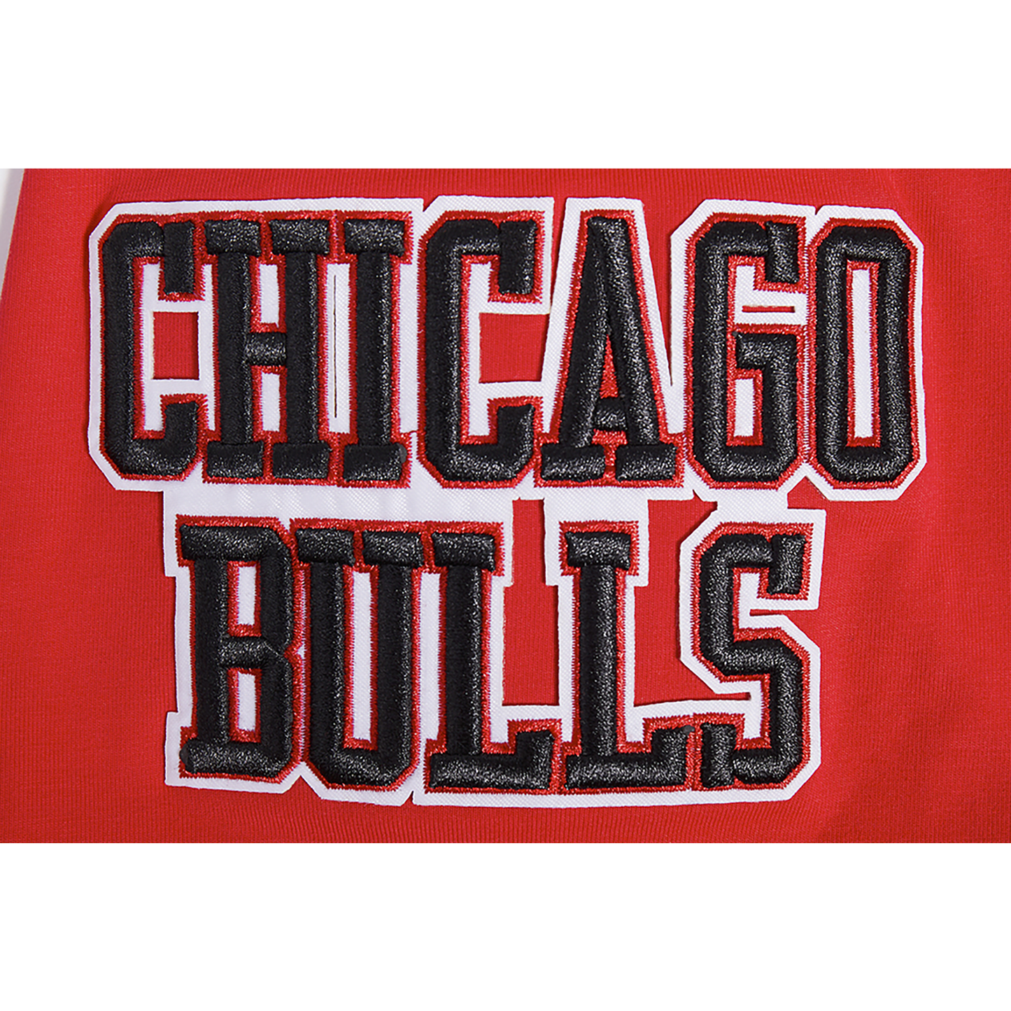 Pro Standard BULLS OLD ENGLISH SJ TEE - Men's - Red