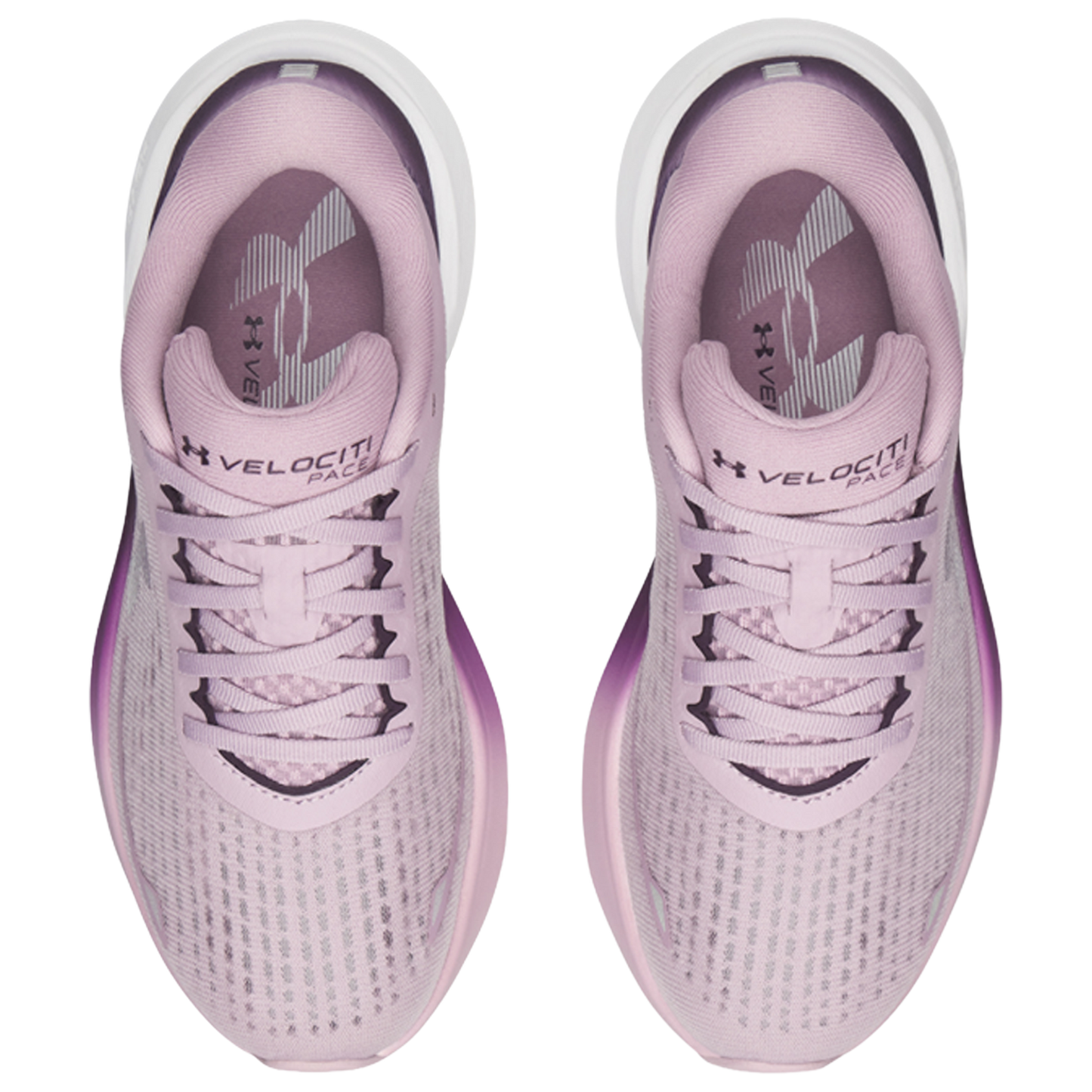 Under Armour Velociti Pace - Women's - Purple/Pink/Purple