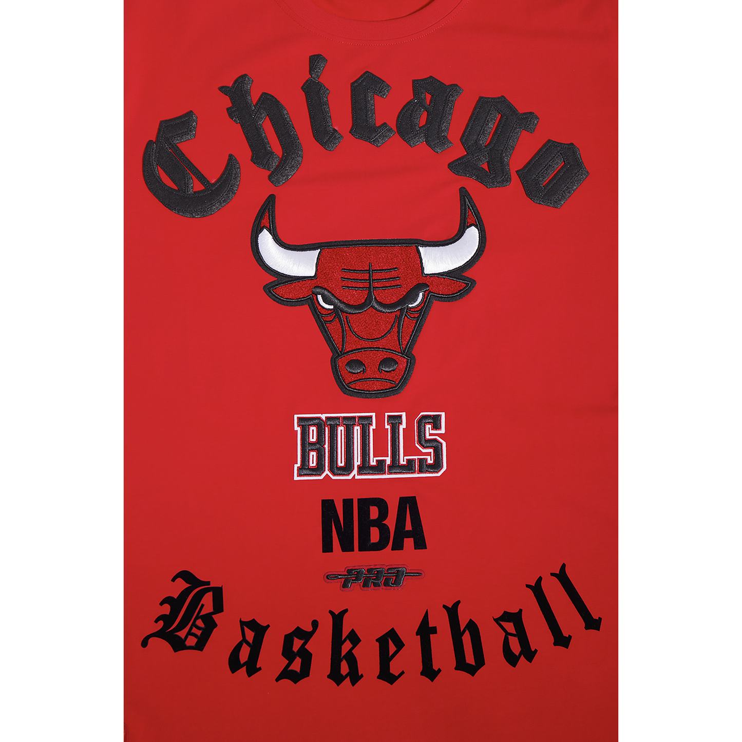 Pro Standard BULLS OLD ENGLISH SJ TEE - Men's - Red