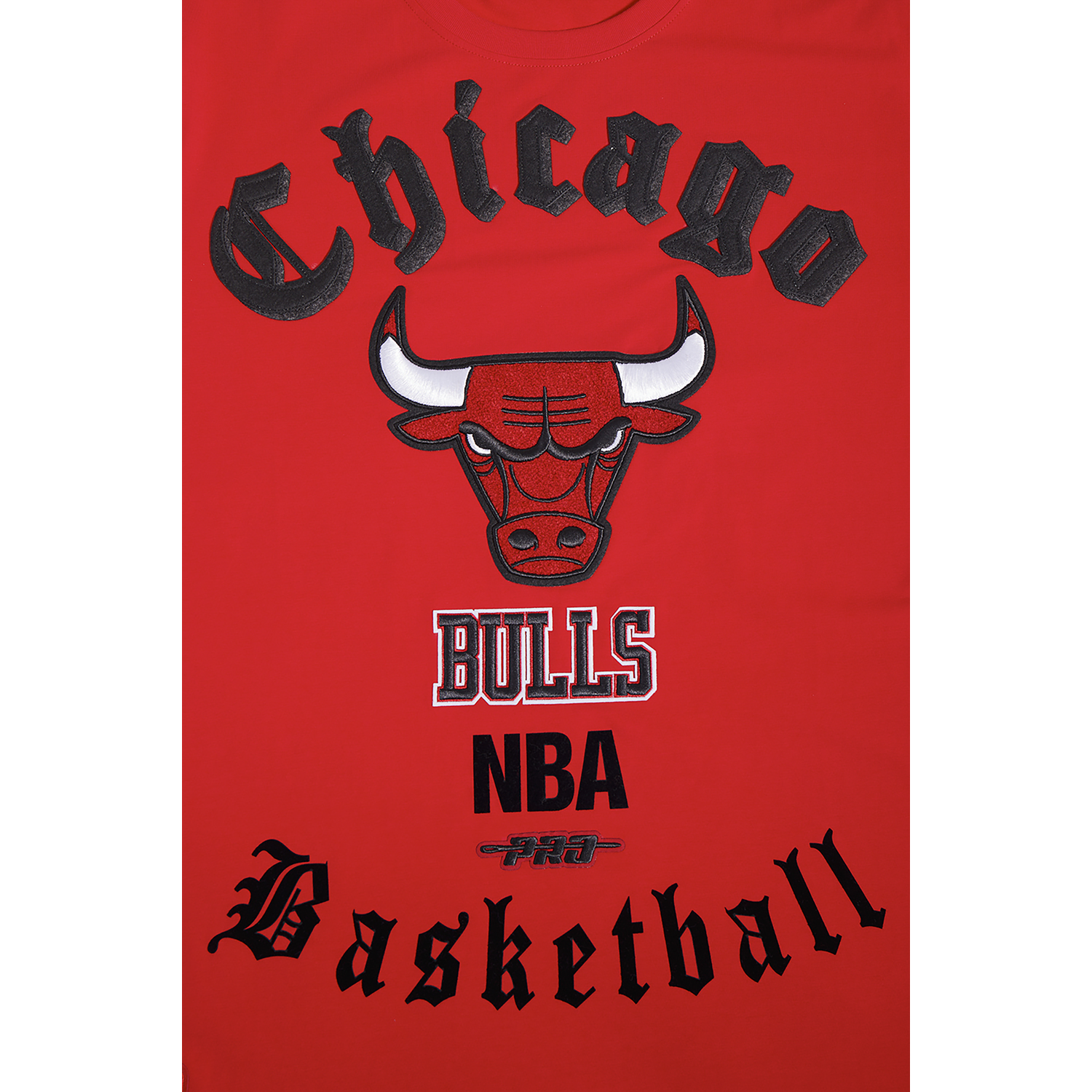 Pro Standard BULLS OLD ENGLISH SJ TEE - Men's - Red
