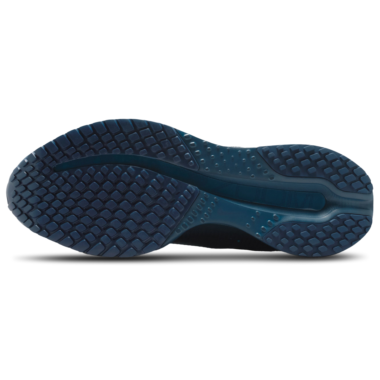 Nike Pegasus Premium NA39 - Women's - Blue Force/Blue Void