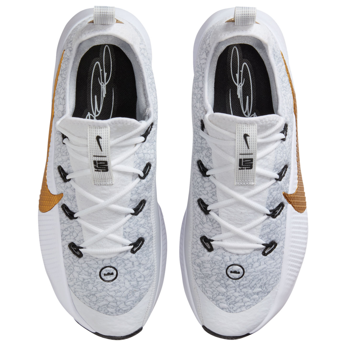 Nike Lebron TR 1 - Men's - Bronze/Wolf Grey/Mtlc Gold