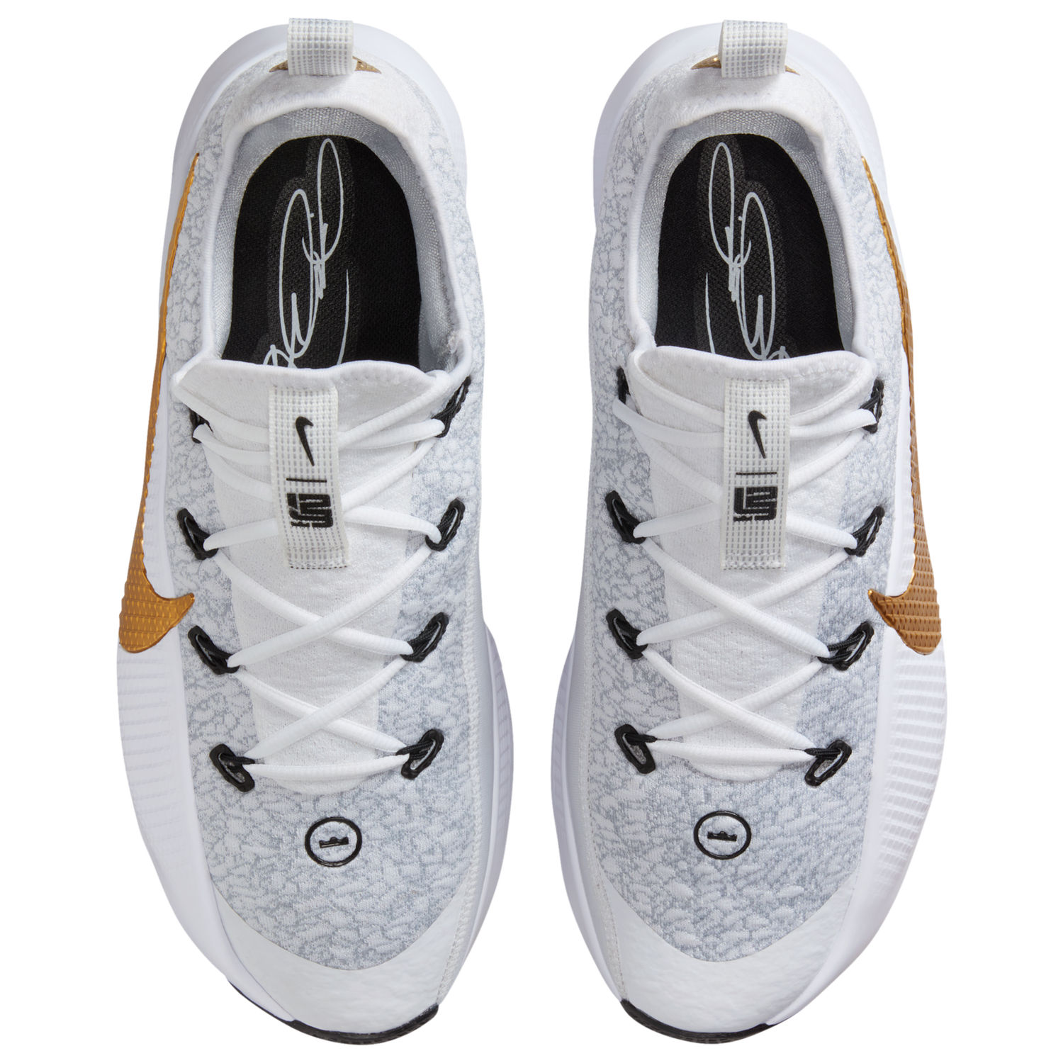 Nike Lebron TR 1 - Men's - Bronze/Wolf Grey/Mtlc Gold