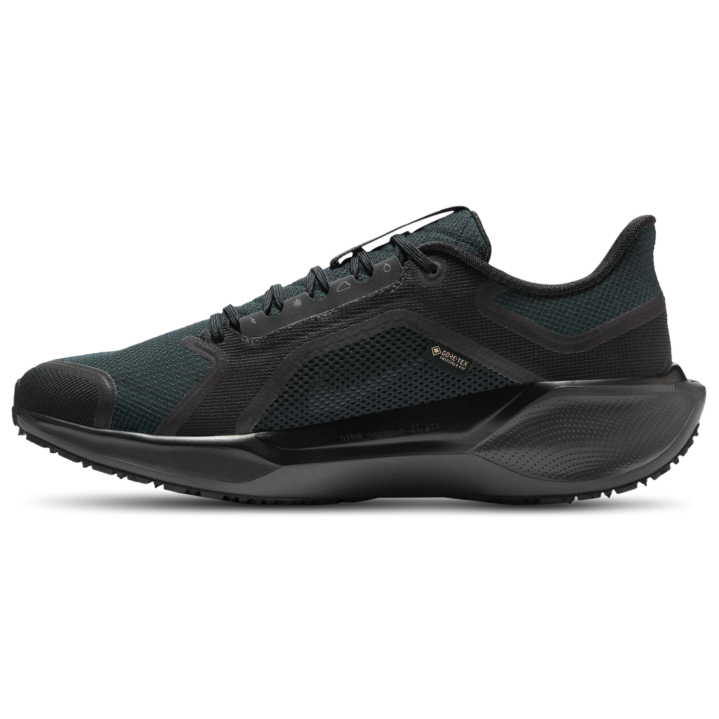 Nike Air ZOOM Pegasus 41 GTX - Men's - Black/Black/Anthracite