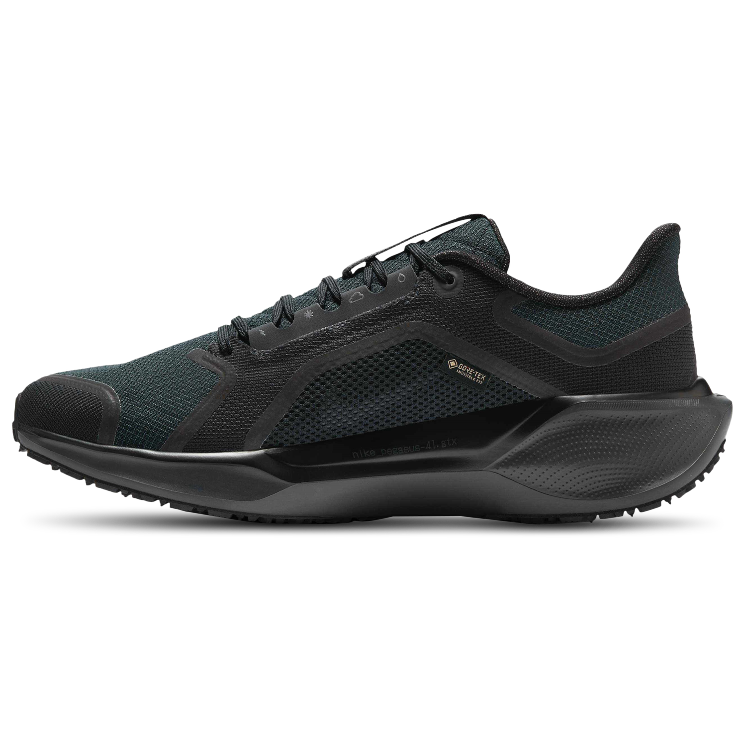 Nike Air ZOOM Pegasus 41 GTX - Men's - Black/Black/Anthracite
