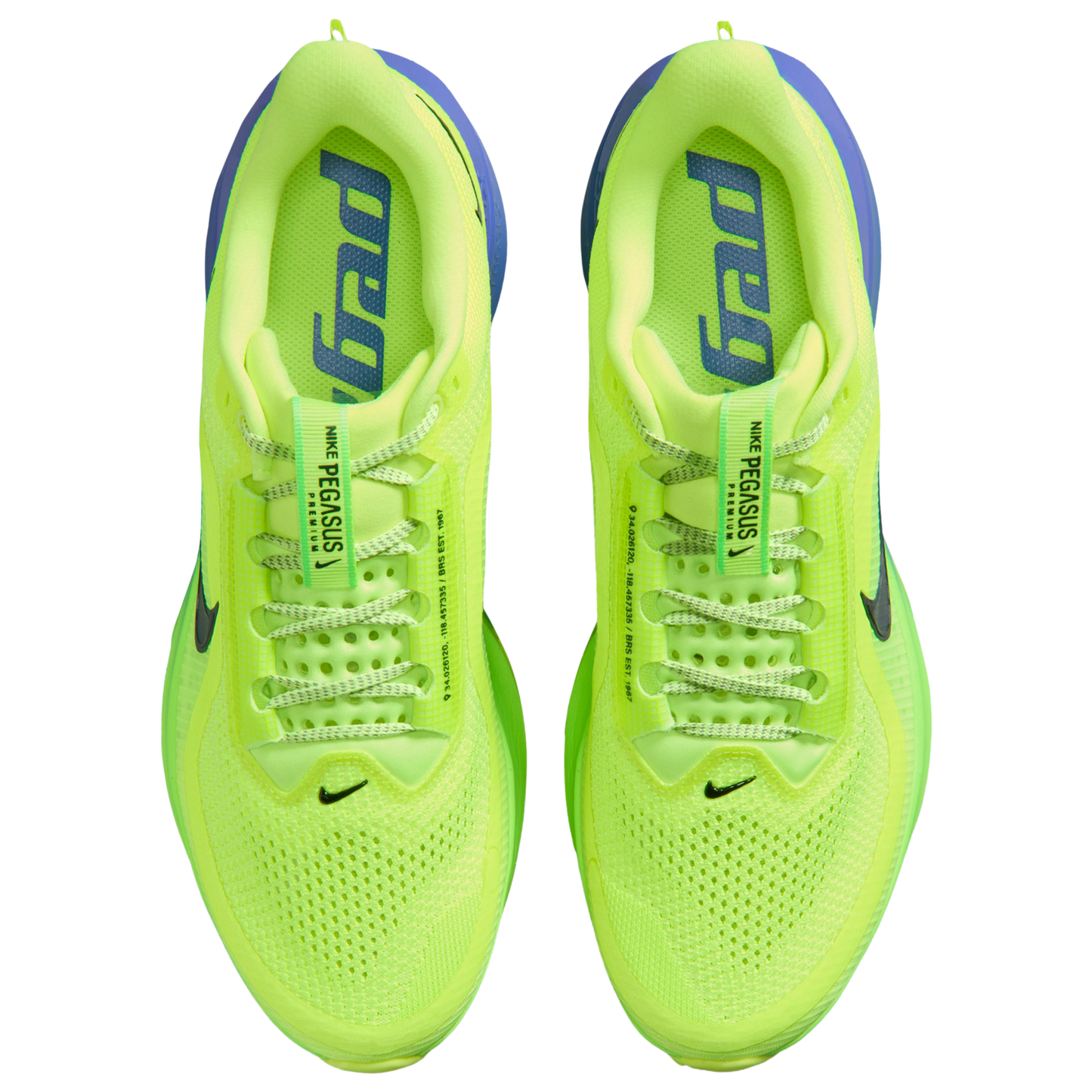 Nike Pegasus Premium - Men's - Black Spruce/Volt Ice/Lime Blast