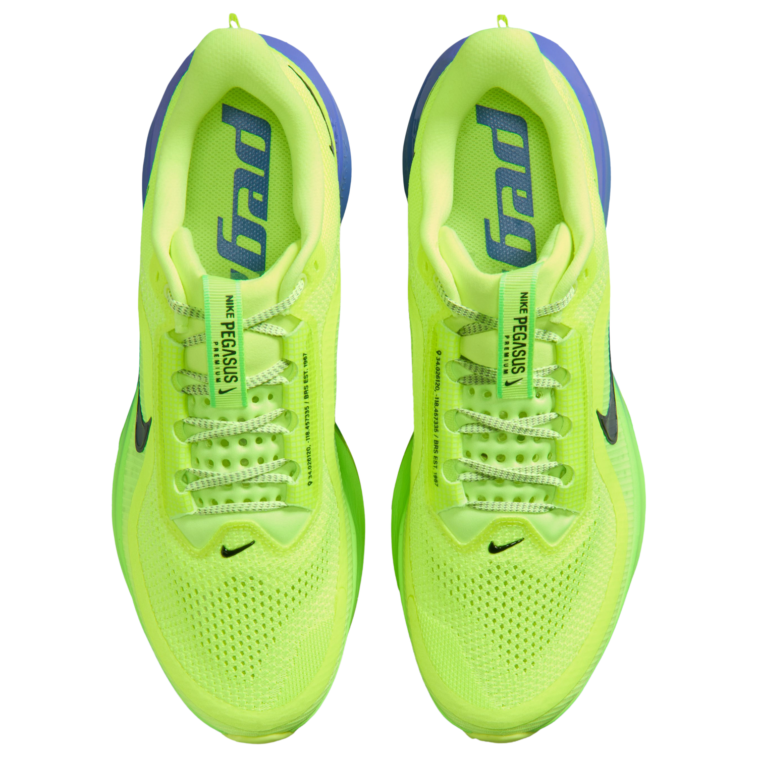 Nike Pegasus Premium - Men's - Black Spruce/Volt Ice/Lime Blast