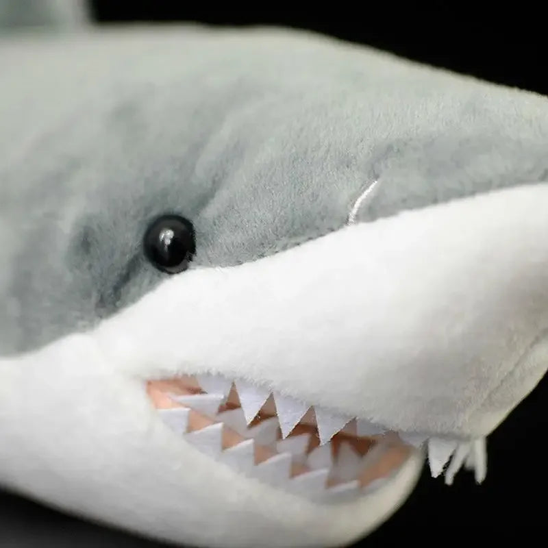 Plush Shark - foto 6